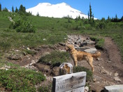 Schreiber's Meadow, Mount Baker-Snoqualmie National Forest