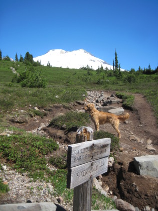 Schreiber's Meadow, Mount Baker-Snoqualmie National Forest