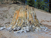 Florissant Fossil Beds National Monument
