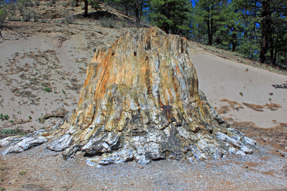 Florissant Fossil Beds National Monument