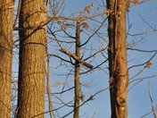 Bombay Hook National Wildlife Refuge
