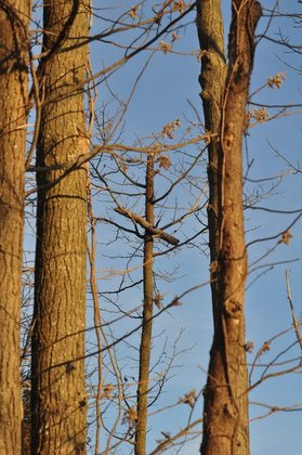 Bombay Hook National Wildlife Refuge
