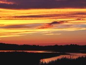 Bombay Hook National Wildlife Refuge
