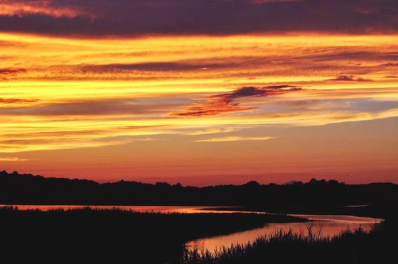 Bombay Hook National Wildlife Refuge