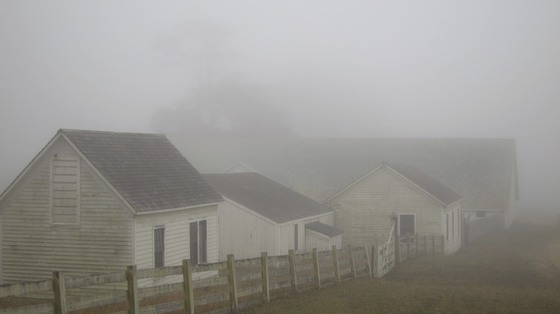 Point Reyes National Seashore