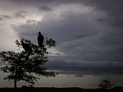 Everglades National Park