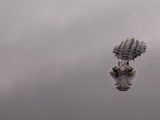 Everglades National Park