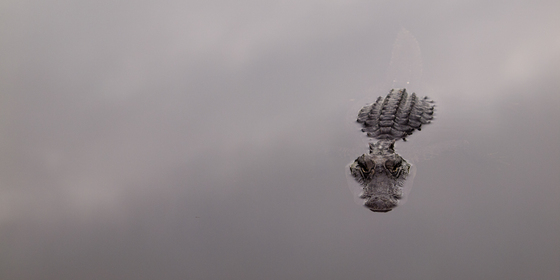 Everglades National Park