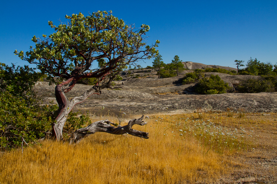Big Bald Rock