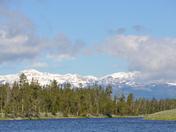 Yellowstone National Park