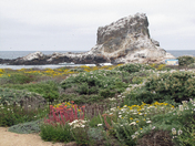Piedras Blancas Light Station