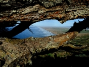 Point Reyes National Seashore