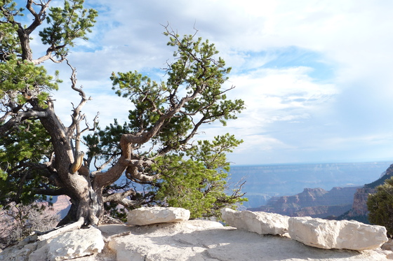 Grand Canyon National Park