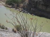 big bend national park