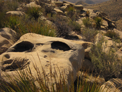 Guadalupe Mountains National Park 
