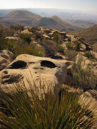 Guadalupe Mountains National Park 