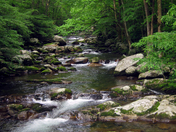 Great Smoky Mountains National Park