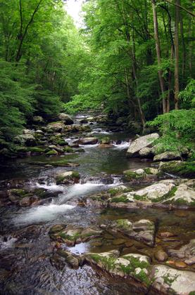Great Smoky Mountains National Park