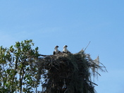 Everglades National Park