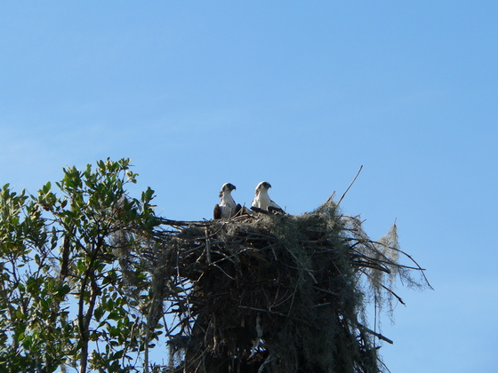 Everglades National Park