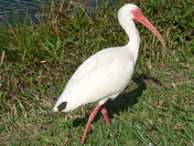 Everglades National Park