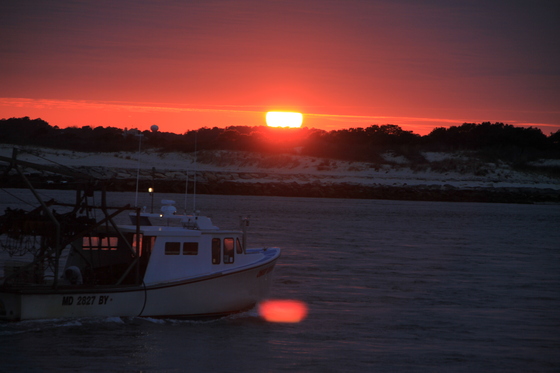 Assateague Island