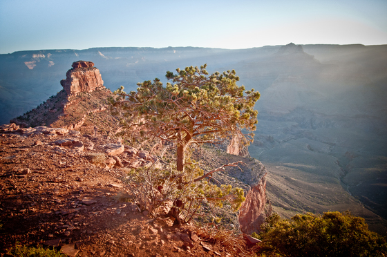 Grand Canyon