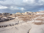 Petrified Forest National Park