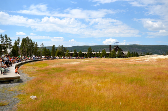 Yellowstone National Park