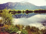 Gunnison National Forest Crested Butte, CO
