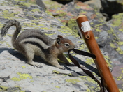 Glacier National Park