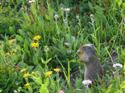 Glacier National Park