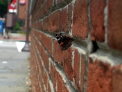 Independence National Historical Park