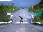 BLM Tangle LakesCampground, Alaska