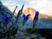 Yosemite National Park