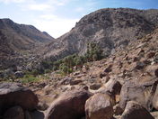 Joshua Tree National Park