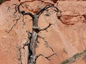 Bryce Canyon National Park
