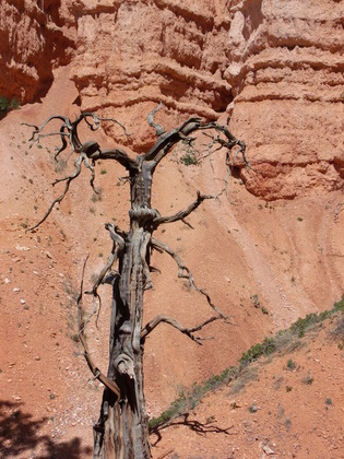 Bryce Canyon National Park