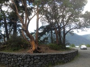 Olympic National Park