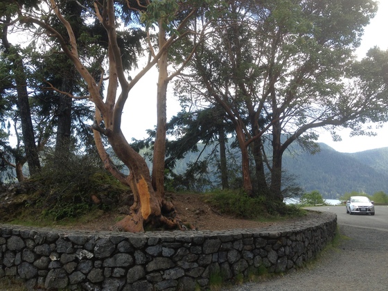 Olympic National Park