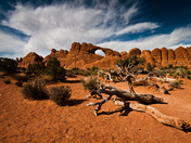 Arches National Park