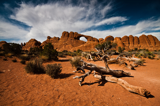 Arches National Park