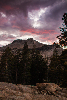 Yosemite National Park