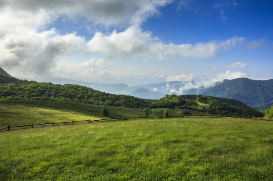 Great Smoky Mountains National Park