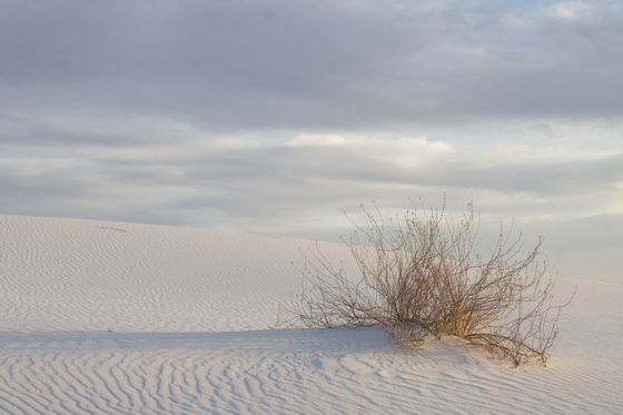White Sands National Monument
