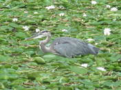 Cuyahoga Valley National Park