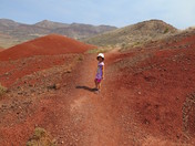 John Day Fossil Beds National Monument