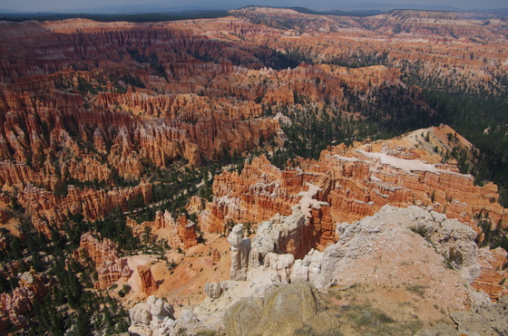 Bryce National Park