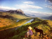 Gunnison National Forest