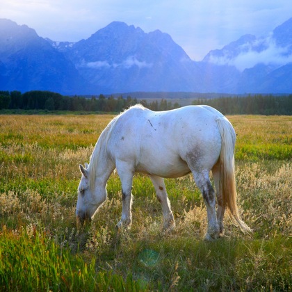 Grand Teton National Park